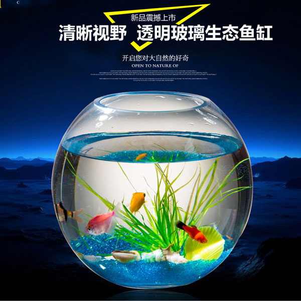 5Cgo 523151546795 創意透明圓形玻璃魚缸生態金魚缸中小型迷你桌面魚缸桌面烏龜缸金魚缸圓缸辦公室裝飾擺件微景觀 CHX85000